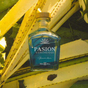 Pack of 6 Bacanora Passion White